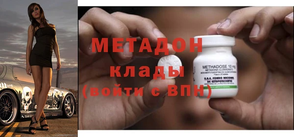 прущие грибы Беломорск