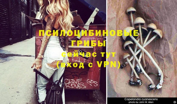 тгк Белокуриха