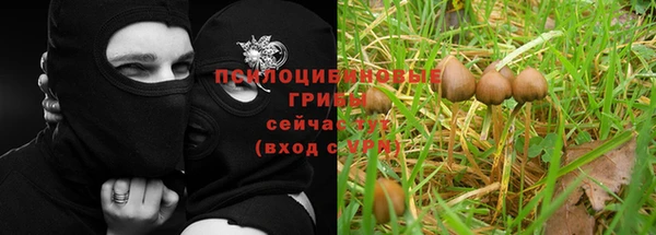 мет Киренск