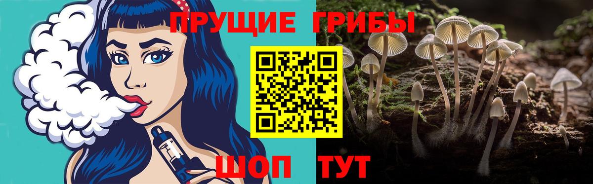 Псилоцибиновые грибы мухоморы  Галлюциногенные грибы прущие грибы  Находка  Вход с VPN 
